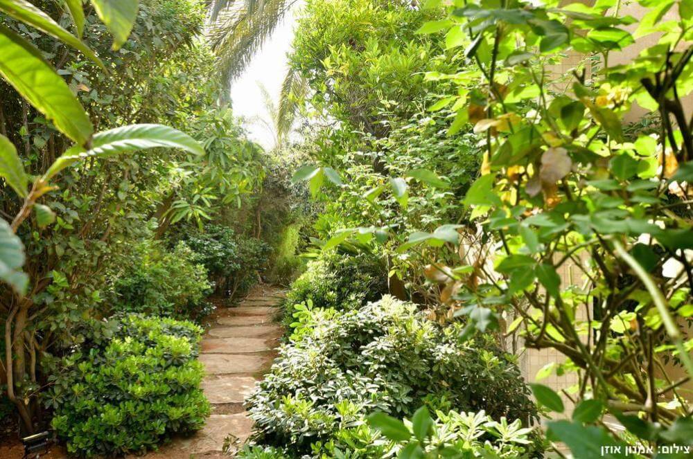 8741 מתחם חיצוני, קיסריה גולדן גרדן, וילה  בקיסריה וילות - Vila 4 U