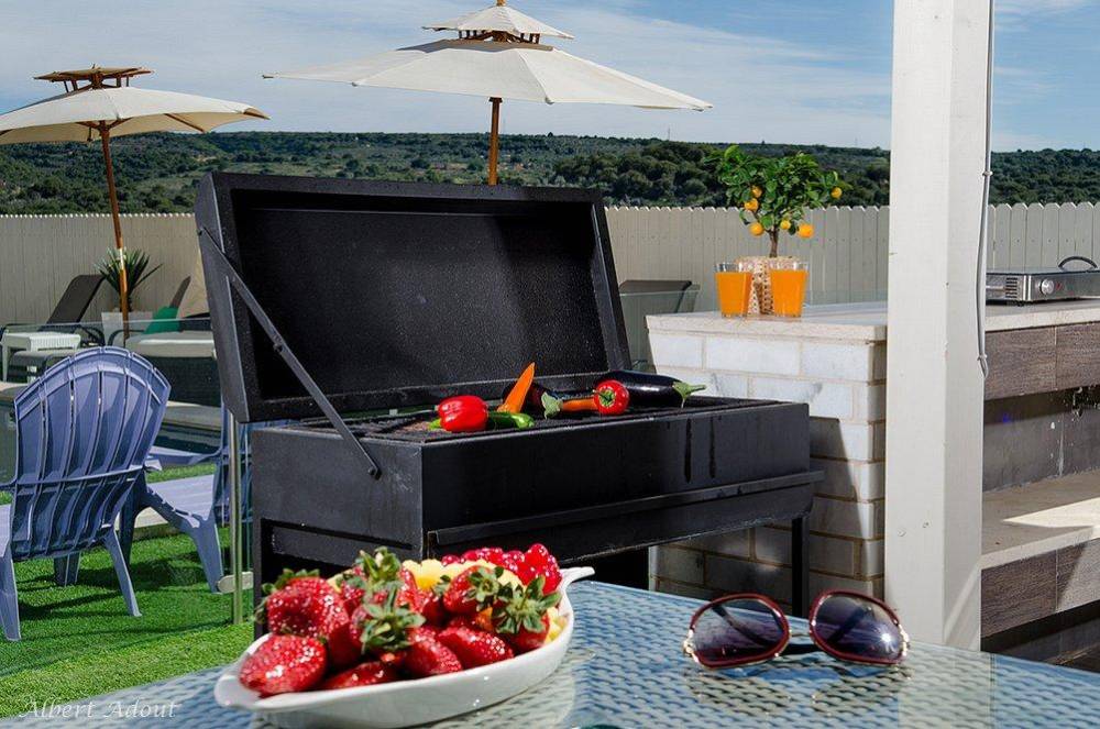 11250 גלריה כללית, וילה כינור דוד המלך, וילה  במנות וילות - Vila 4 U