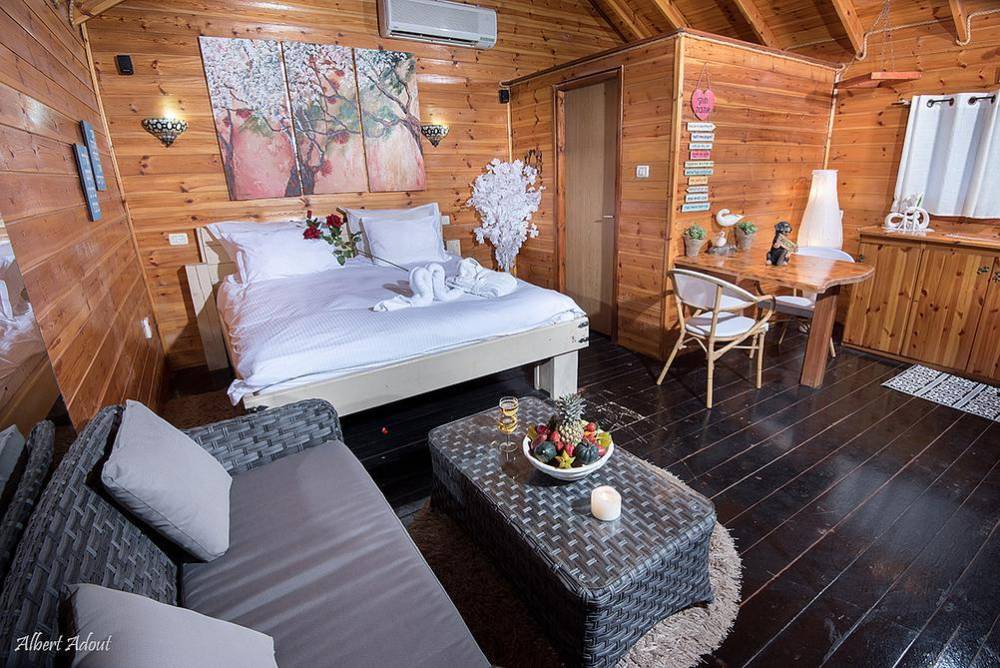 12890 צימרים ארץ אהבתי, וילה פיאסטה, וילה  באבן מנחם וילות - Vila 4 U