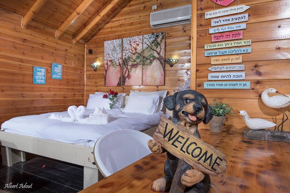 12893 צימרים ארץ אהבתי, וילה פיאסטה, וילה  באבן מנחם וילות - Vila 4 U