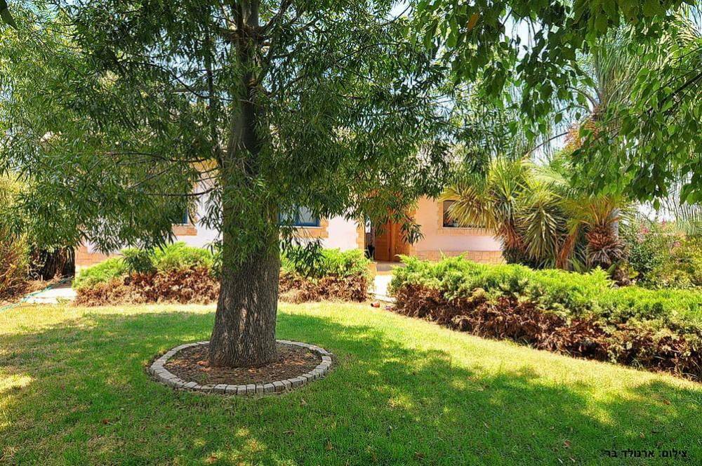 16873 וילה קלמה במושבה, וילה קלמה במושבה, וילה  ביסוד המעלה וילות - Vila 4 U