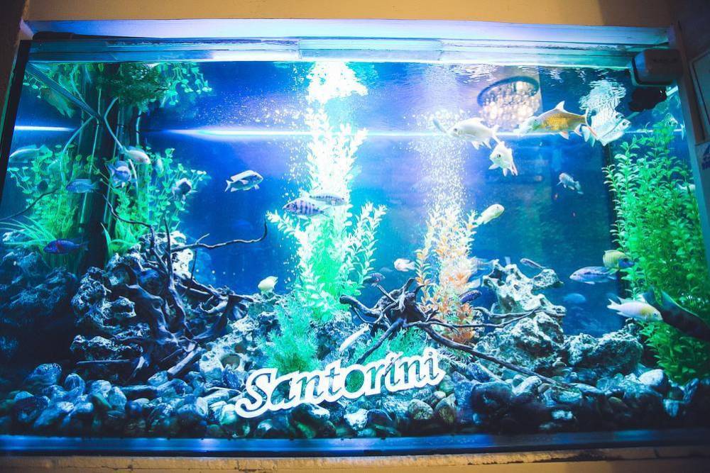 21186 סנטוריני, לופט סנטוריני, וילה  בבת ים וילות - Vila 4 U