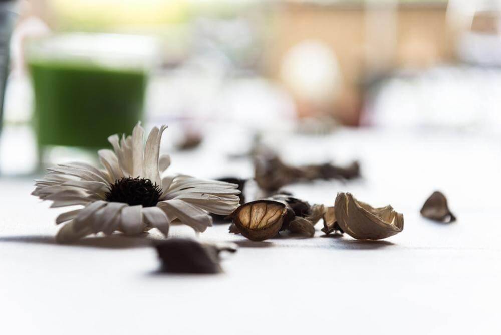 21916 מסיבות ואירועים, הרמוניה ריזורט, וילה  בנתניה וילות - Vila 4 U