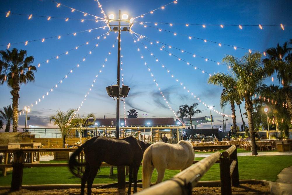 34086 חתונות במתחם, חלום בחווה, וילה  בחדרה וילות - Vila 4 U