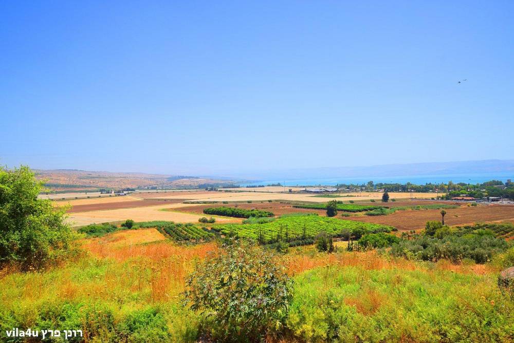 48551 החצר והבריכה, וילה כנרת שלי, וילה  במגדל וילות - Vila 4 U