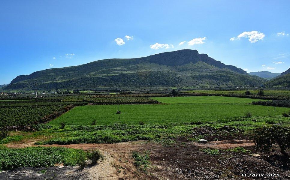 49737 הנוף, וילה סוליס, וילה  במגדל וילות - Vila 4 U