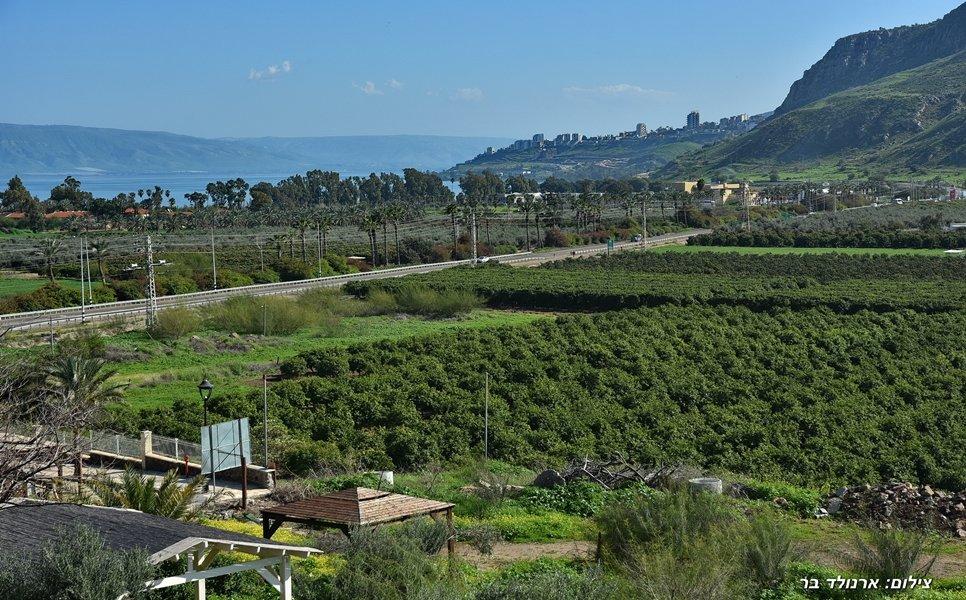 49738 הנוף, וילה סוליס, וילה  במגדל וילות - Vila 4 U