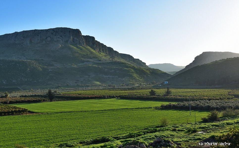 49740 הנוף, וילה סוליס, וילה  במגדל וילות - Vila 4 U