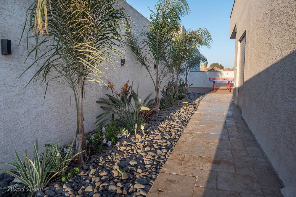 50753 מתחם החצר והבריכה, וילה נובה NOVA, וילה  בדלתון וילות - Vila 4 U