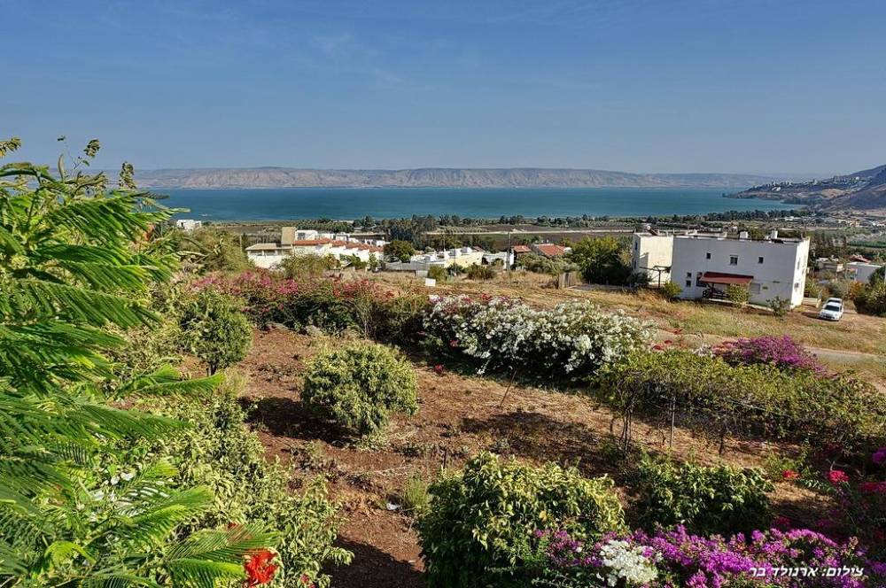 52126 המקום של רפאל, המקום של רפאל, וילה  במגדל וילות - Vila 4 U