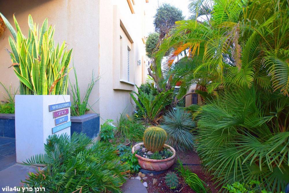 55532 גלריה כללית, וילה אוריס, וילה  בנהריה וילות - Vila 4 U