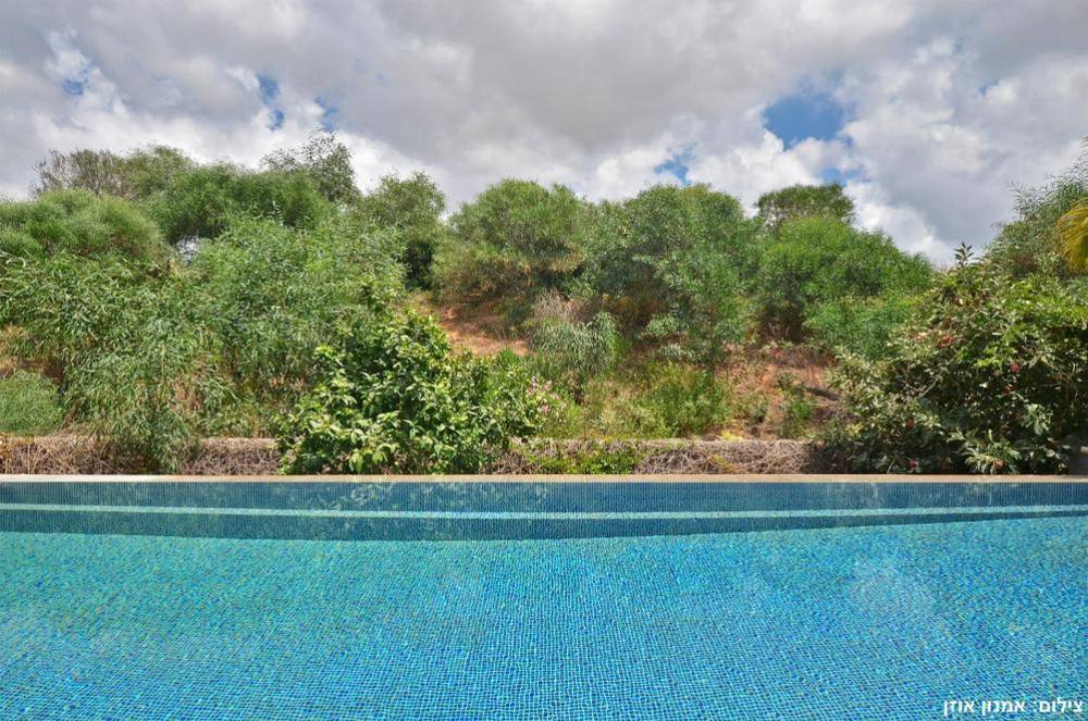 58710 גלריה כללית, וילה סיזר פאלאס, וילה  בקיסריה וילות - Vila 4 U