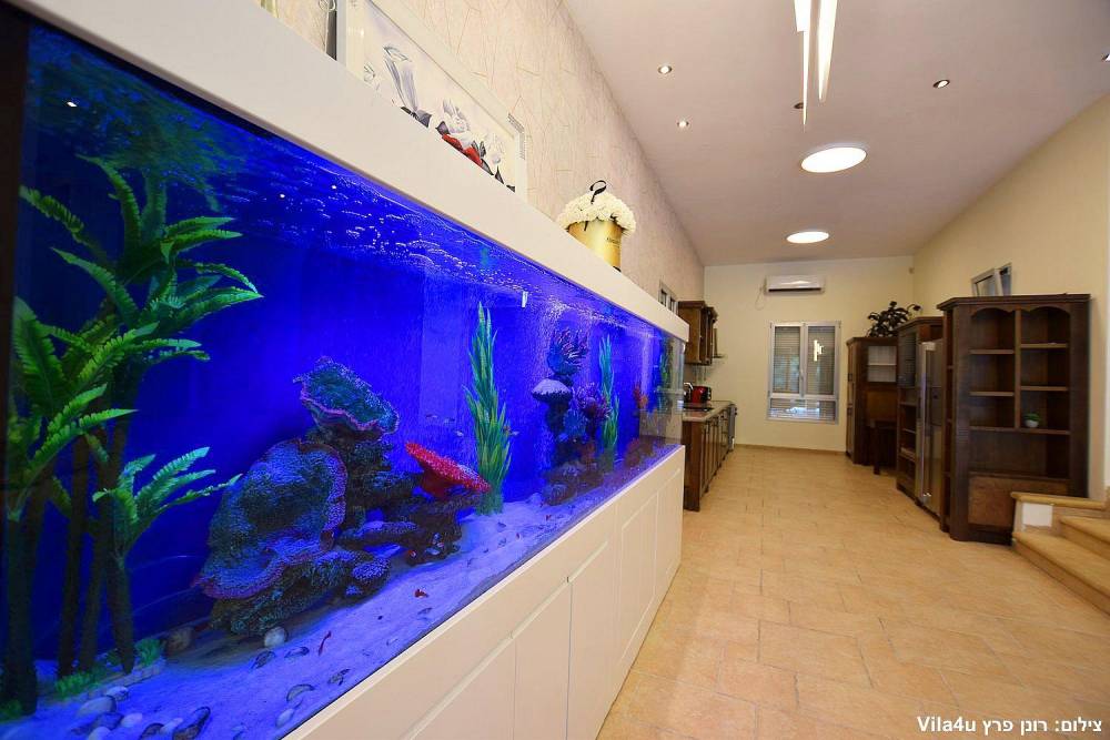 59855 גלריה כללית, וילה סיזר פאלאס, וילה  בקיסריה וילות - Vila 4 U