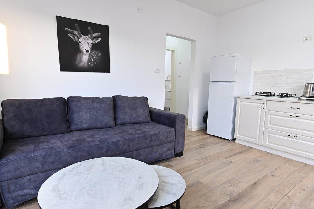 62302 פנים הוילה והחדרים, אחוזת תהל-פוריה עילית, וילה  בפוריה כפר עבודה וילות - Vila 4 U