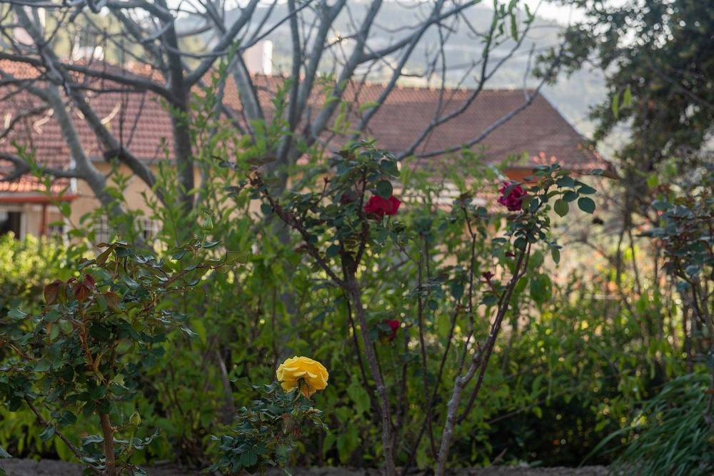 73961 גלריה כללית, וילה בית זית, וילה  בבית זית וילות - Vila 4 U