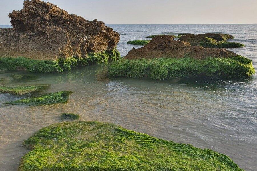 78065 רויאל sea ו-200 מטר גינה, רויאל חוף צאנז וגקוזי איטלקי מול גלי הים, וילה  בנתניה וילות - Vila 4 U