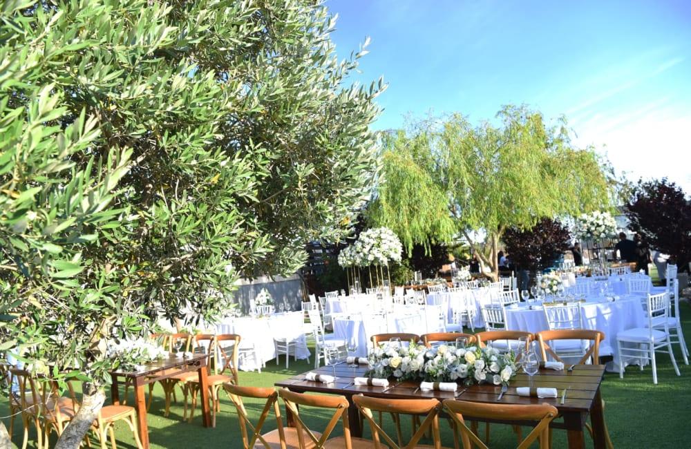 81617 אירועים במתחם, אחוזת שייה, וילה  בעין יעקב וילות - Vila 4 U