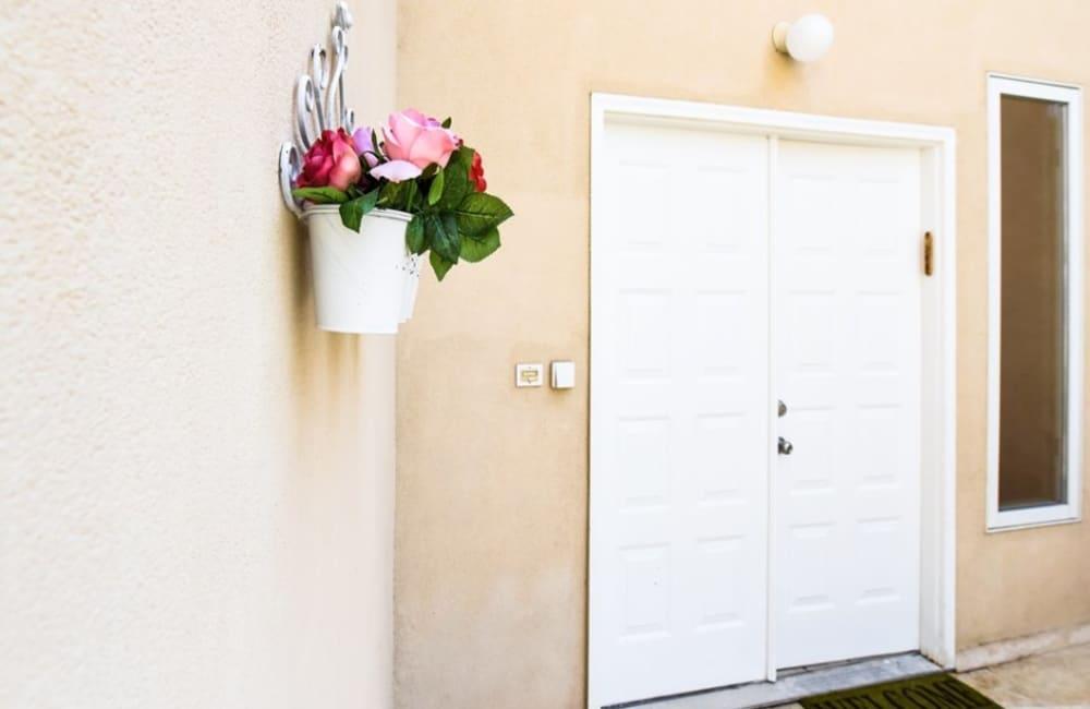 82601 מתחם חיצוני, וילה אור, וילה  באילת וילות - Vila 4 U