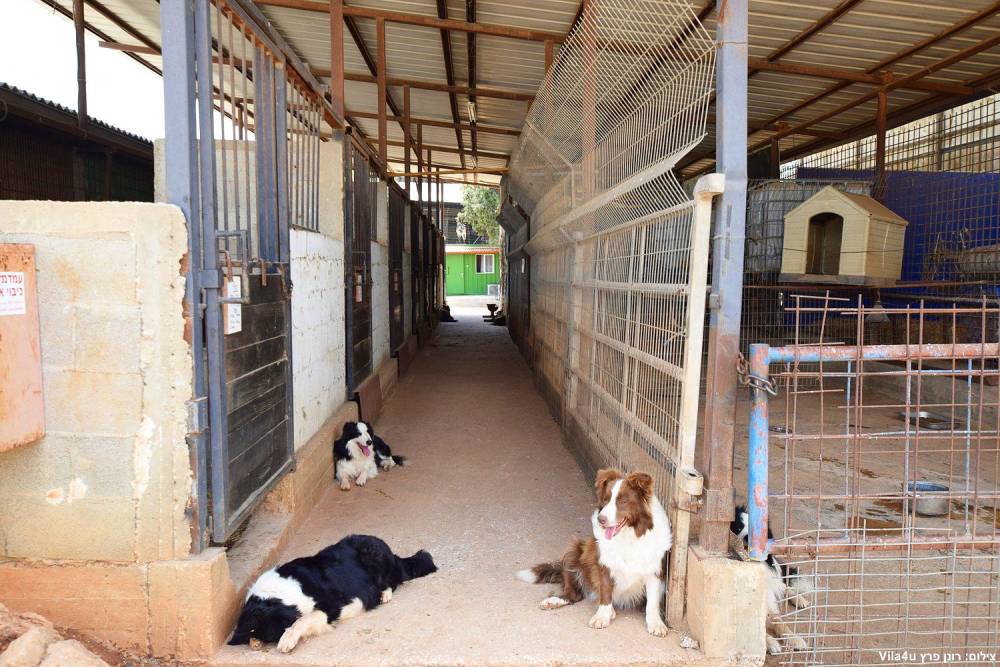 87672 חוות מונפורטויטו, חוות מונפורטויטו, וילה  בגורן וילות - Vila 4 U