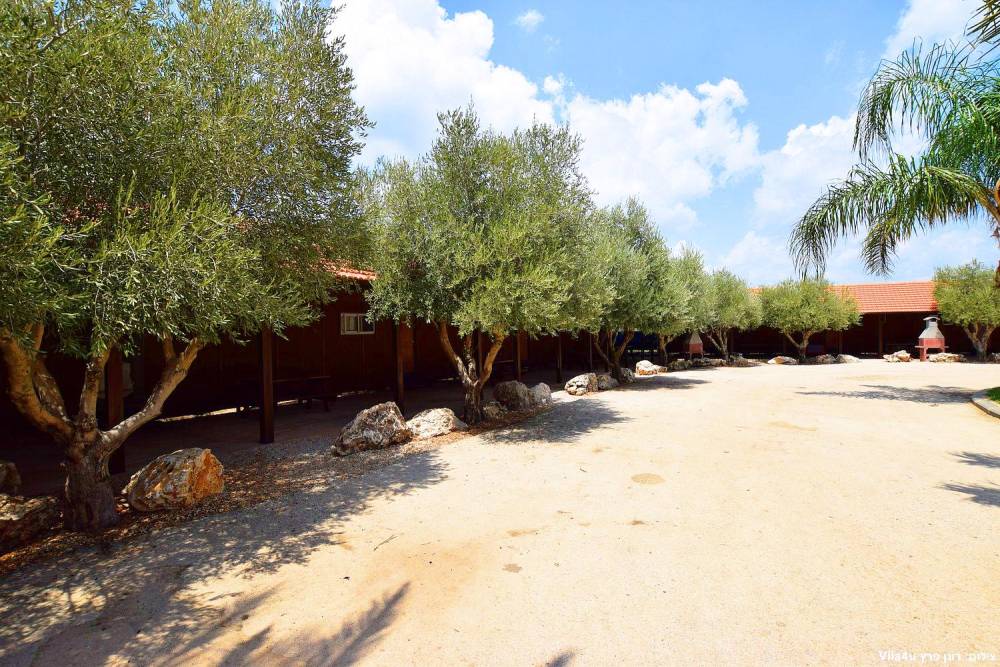 87675 חוות מונפורטויטו, חוות מונפורטויטו, וילה  בגורן וילות - Vila 4 U