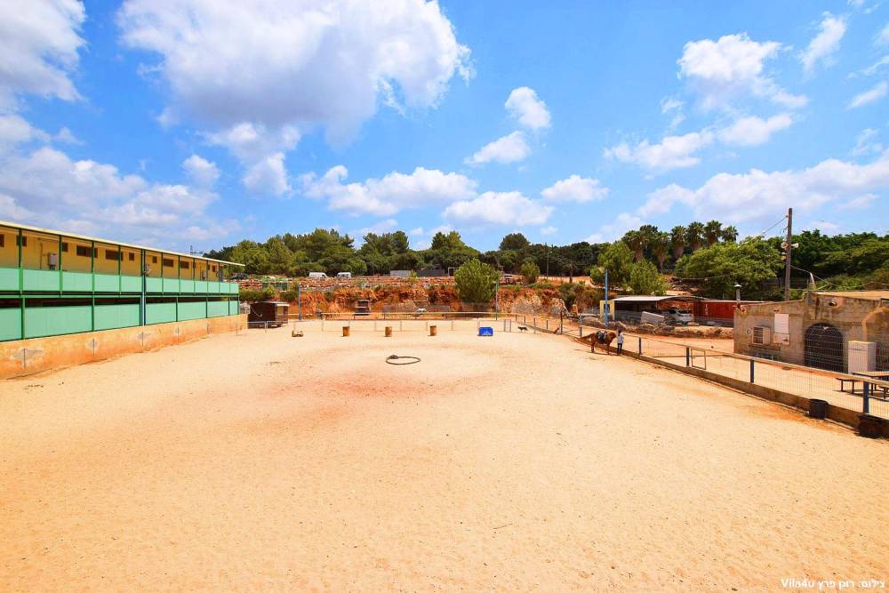 87718 אטרקציות במקום, חוות מונפורטויטו, וילה  בגורן וילות - Vila 4 U