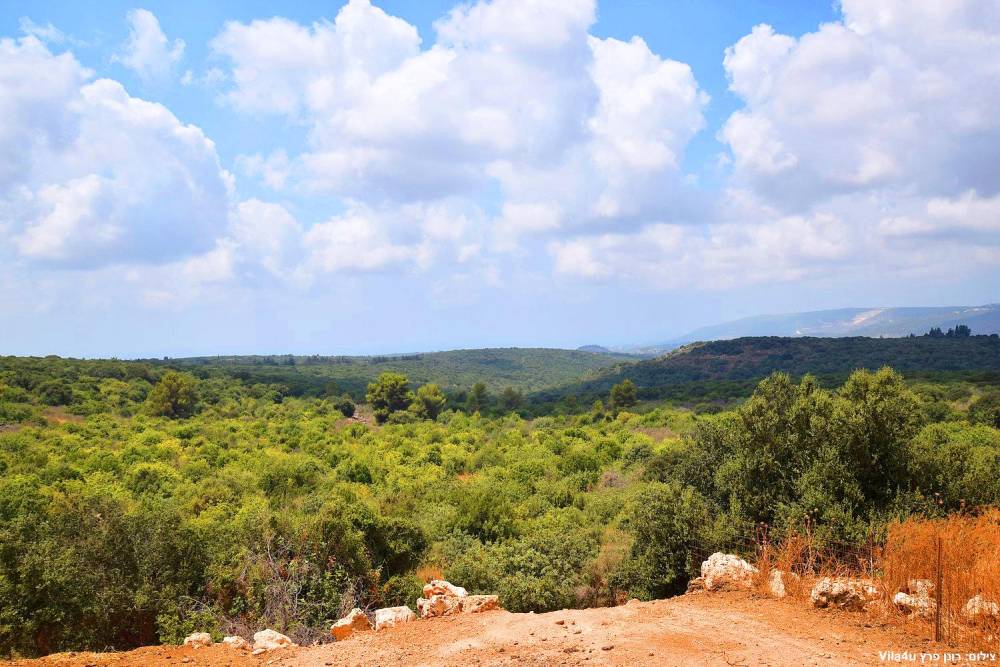 87726 בריכת השחייה + החצר, חוות מונפורטויטו, וילה  בגורן וילות - Vila 4 U