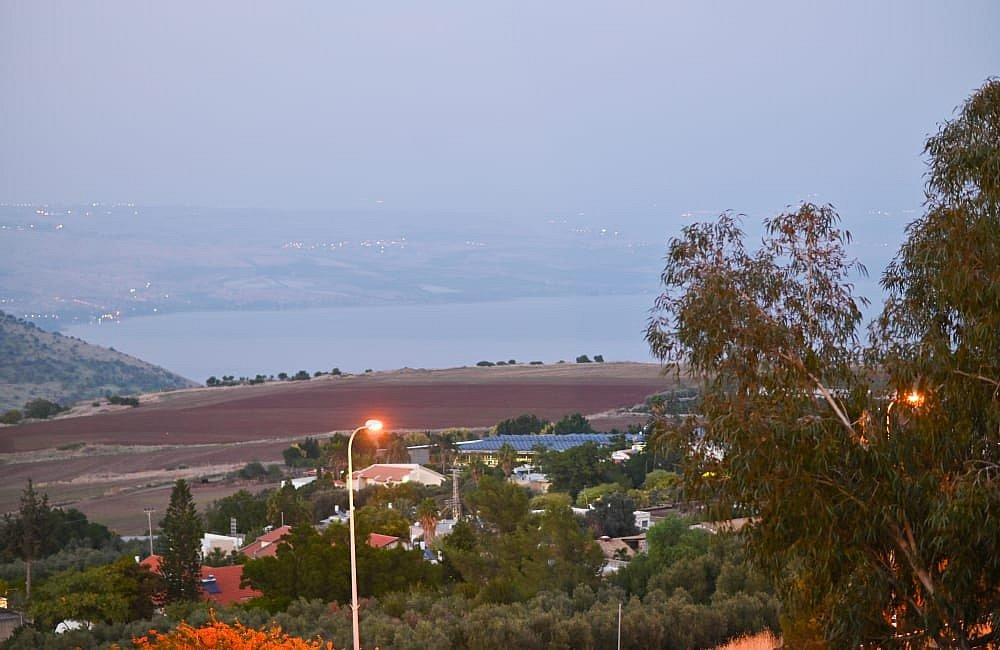 91861 גלריה כללית, וילה נופי האקליפטוס, וילה  בטבריה וילות - Vila 4 U