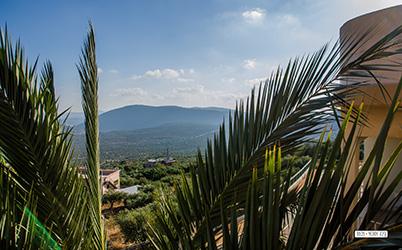 97714 מתחם חיצוני, אחוזה בבוסתן, וילה  בעין אל אסד וילות - Vila 4 U