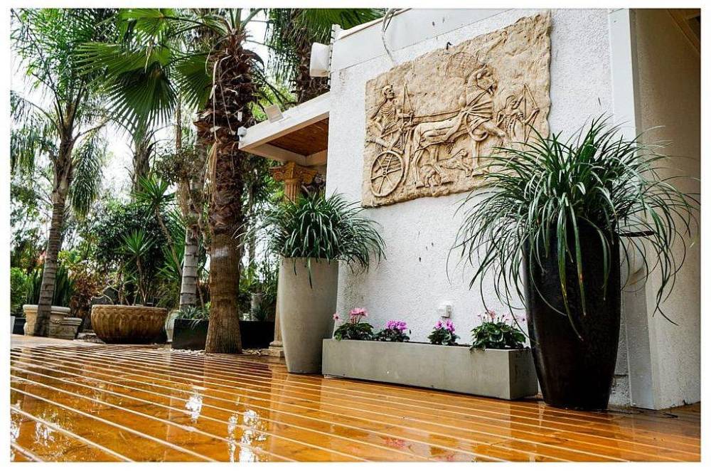 104542 גלריה כללית, החצר של מישקה, וילה  בהרצליה וילות - Vila 4 U