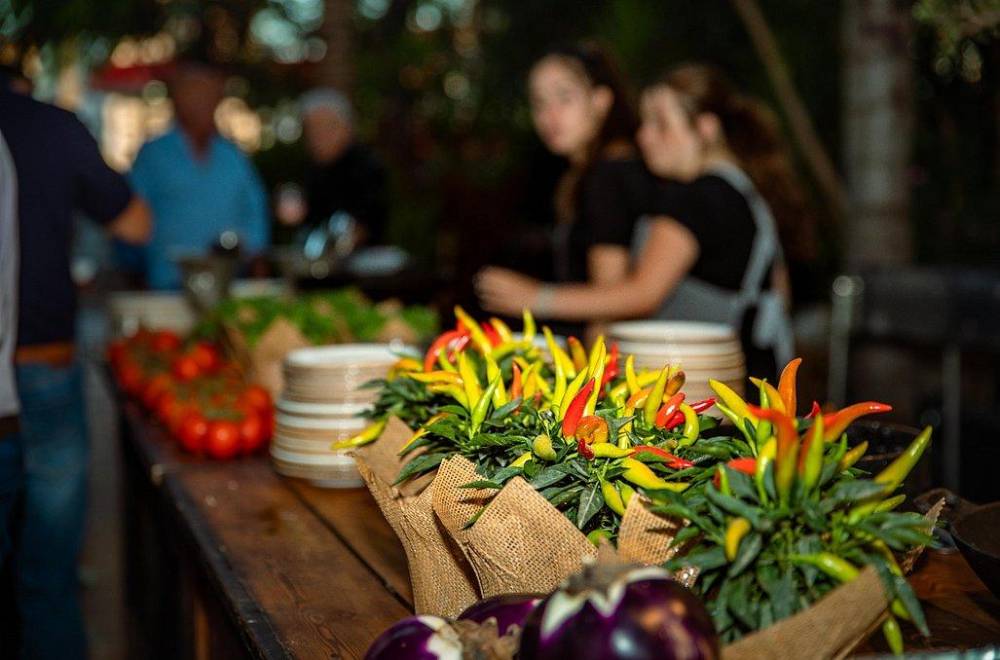 104550 אירועים במתחם, החצר של מישקה, וילה  בהרצליה וילות - Vila 4 U