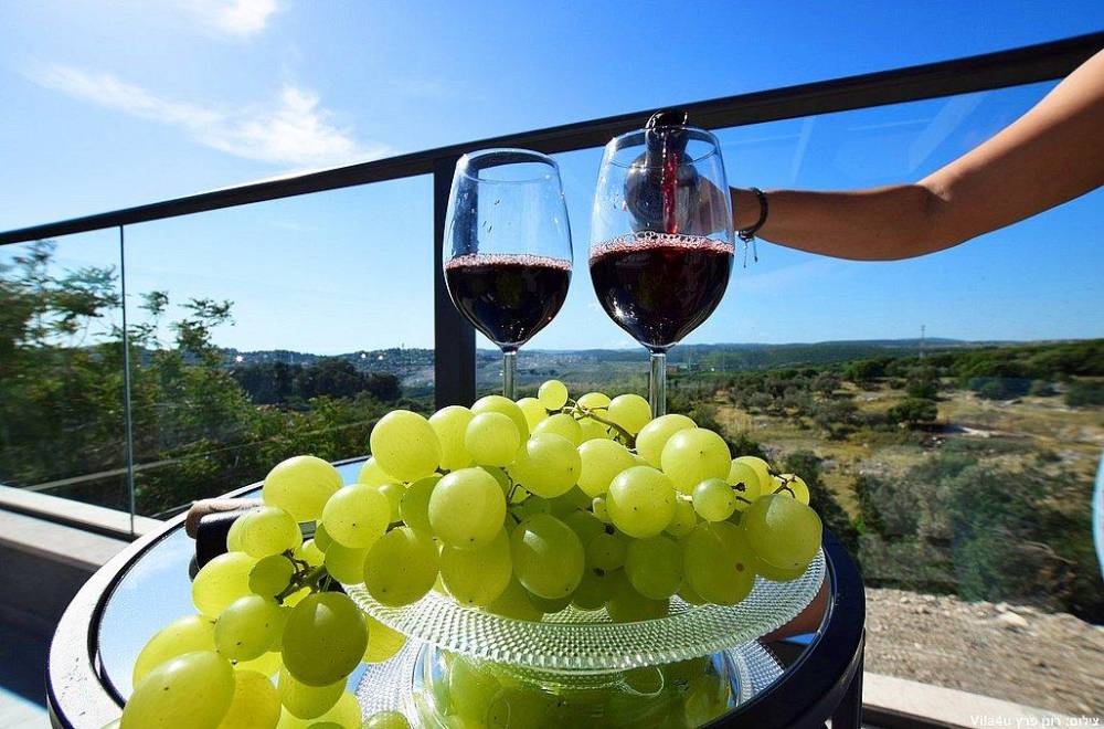 110299 כללי, אחוזת דיויד פאלאס, וילה  בצוריאל וילות - Vila 4 U