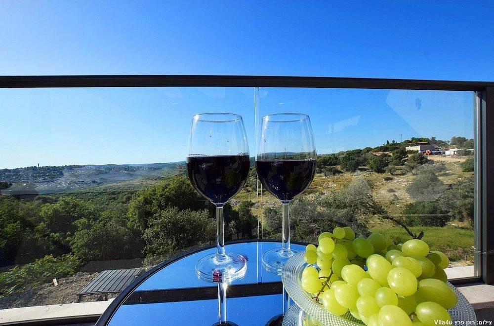 110302 כללי, אחוזת דיויד פאלאס, וילה  בצוריאל וילות - Vila 4 U