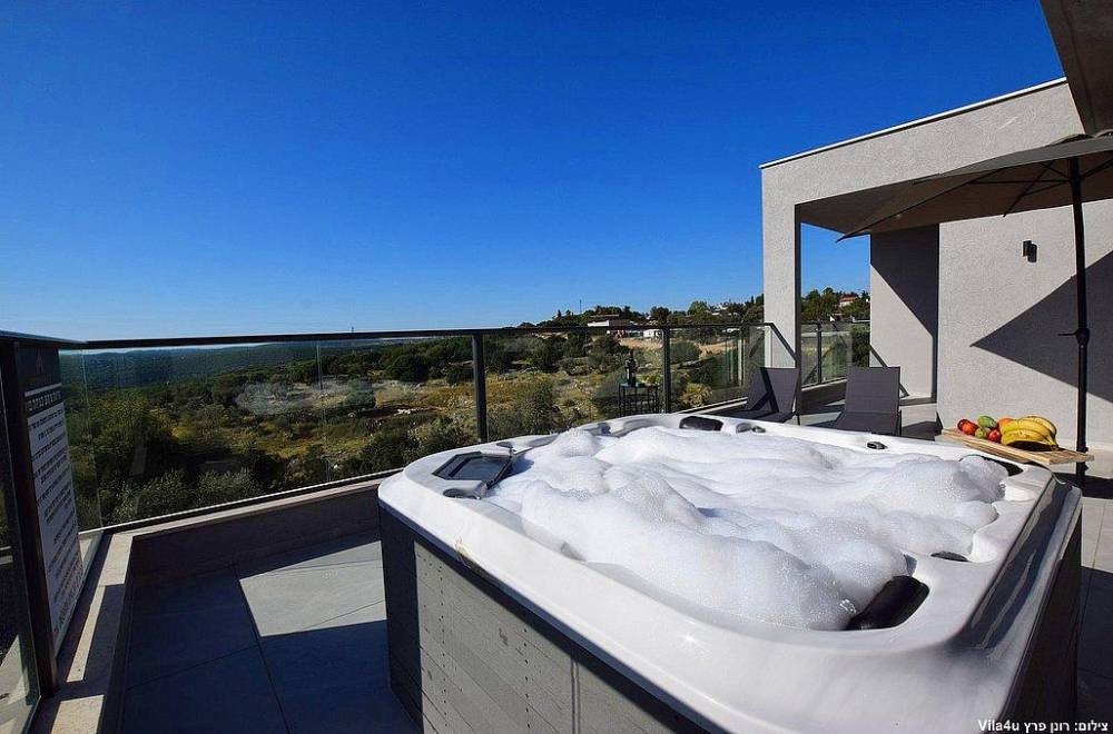 110361 מתחם חיצוני, אחוזת דיויד פאלאס, וילה  בצוריאל וילות - Vila 4 U