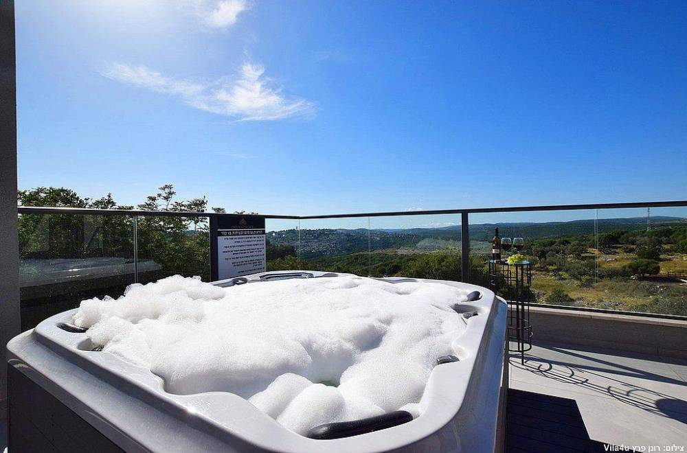 110366 מתחם חיצוני, אחוזת דיויד פאלאס, וילה  בצוריאל וילות - Vila 4 U