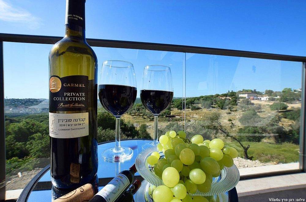 110370 מתחם חיצוני, אחוזת דיויד פאלאס, וילה  בצוריאל וילות - Vila 4 U