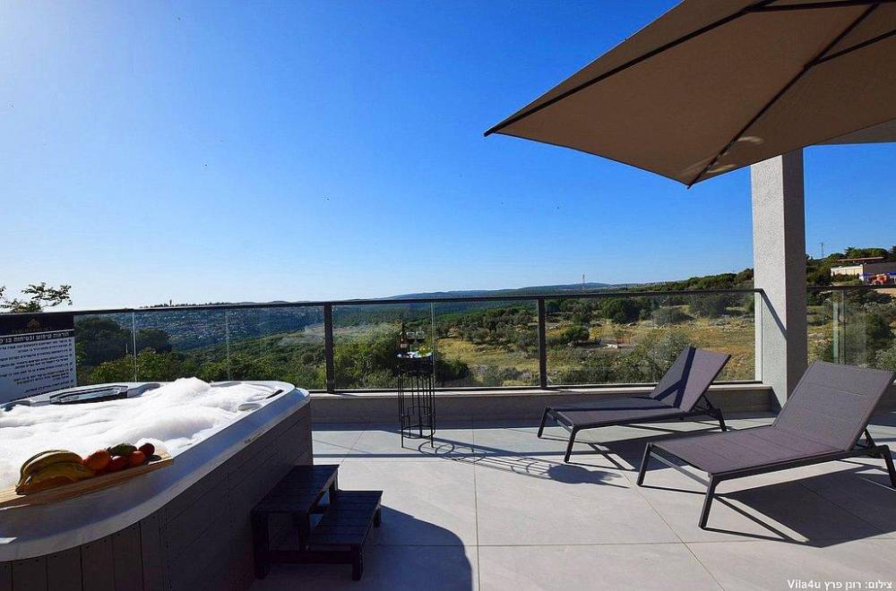 110376 מתחם חיצוני, אחוזת דיויד פאלאס, וילה  בצוריאל וילות - Vila 4 U