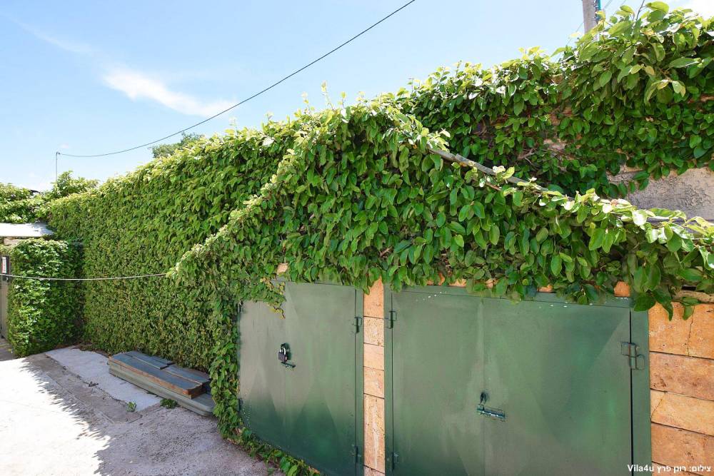 111304 מתחם חיצוני, וילה מילה – Villa Mila, וילה  בכפר שמאי וילות - Vila 4 U