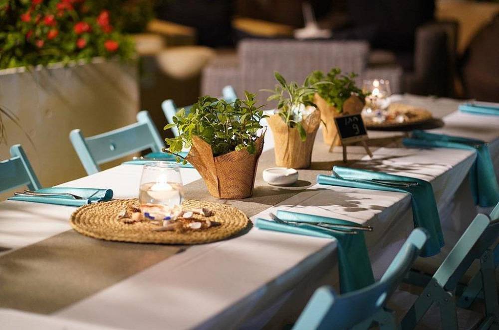 118008 אירועים במתחם, החצר של מישקה, וילה  בהרצליה וילות - Vila 4 U