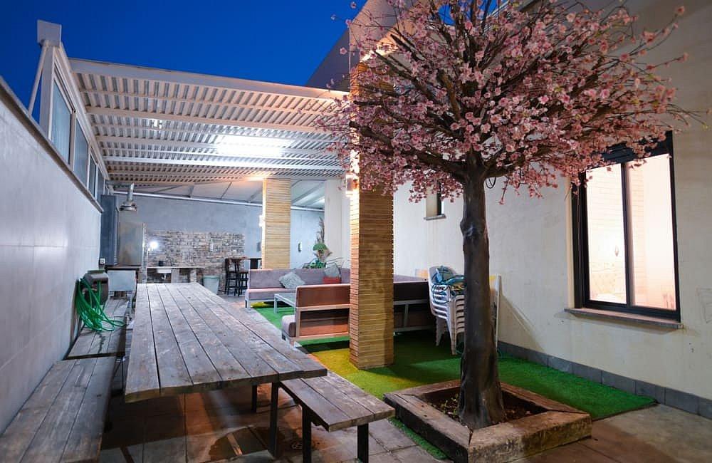 123885 המתחם החיצוני, ממלכת אהרון, וילה  בכלנית וילות - Vila 4 U