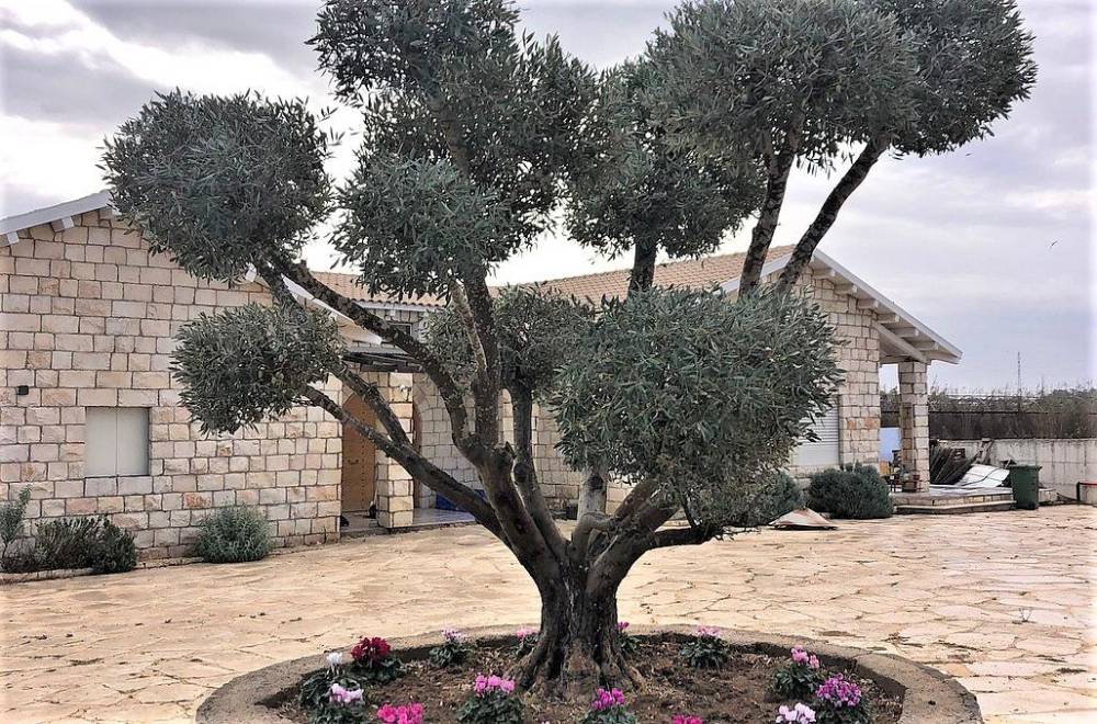 135839 המתחם החיצוני, קאסה לינדה, וילה  בעוזה וילות - Vila 4 U