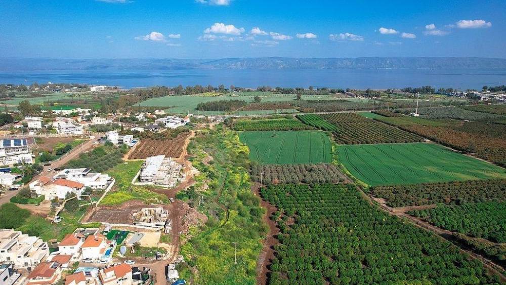 140419 גלריה כללית, מימוסה מגדל, וילה  במגדל וילות - Vila 4 U