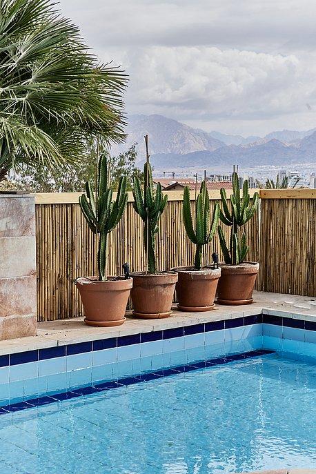 142424 מתחם חיצוני, וילה בלפור אילת, וילה  באילת וילות - Vila 4 U