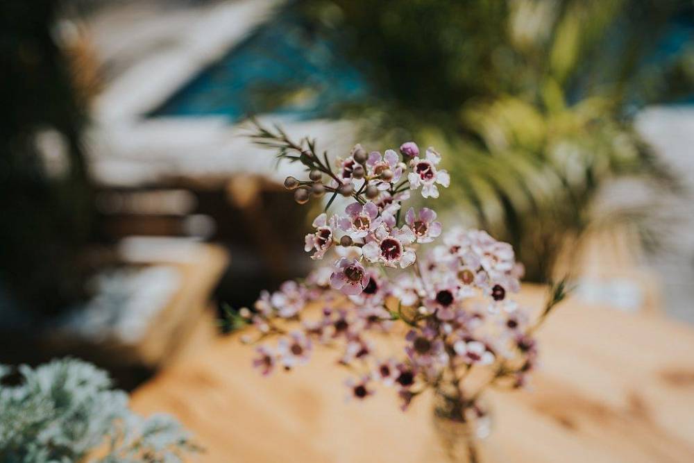 143635 גלריה כללית, משק 17, וילה  בבית יהושע וילות - Vila 4 U