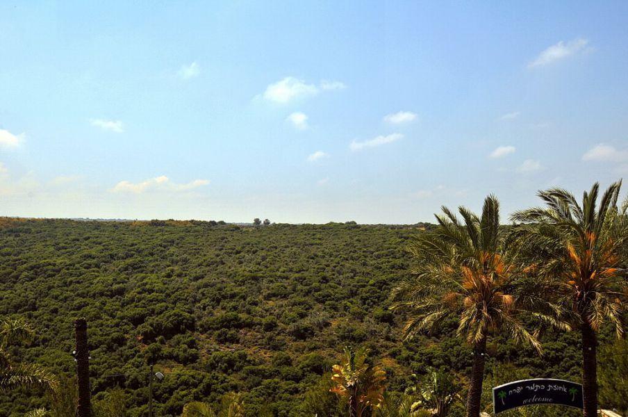 143801 גלריה כללית, אחוזת כתמר יפרח, וילה  ביערה וילות - Vila 4 U