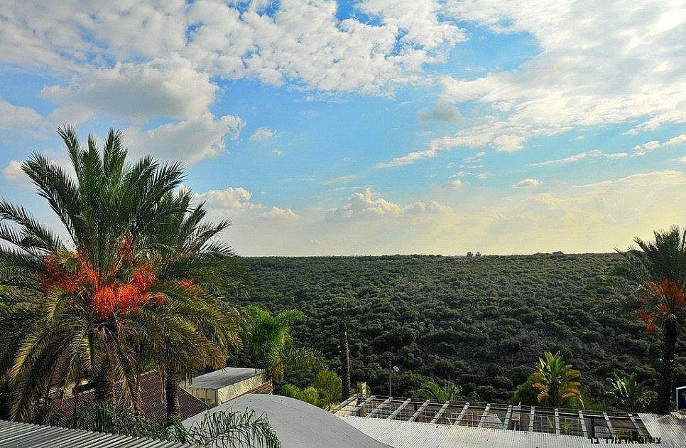 143813 גלריה כללית, אחוזת כתמר יפרח, וילה  ביערה וילות - Vila 4 U