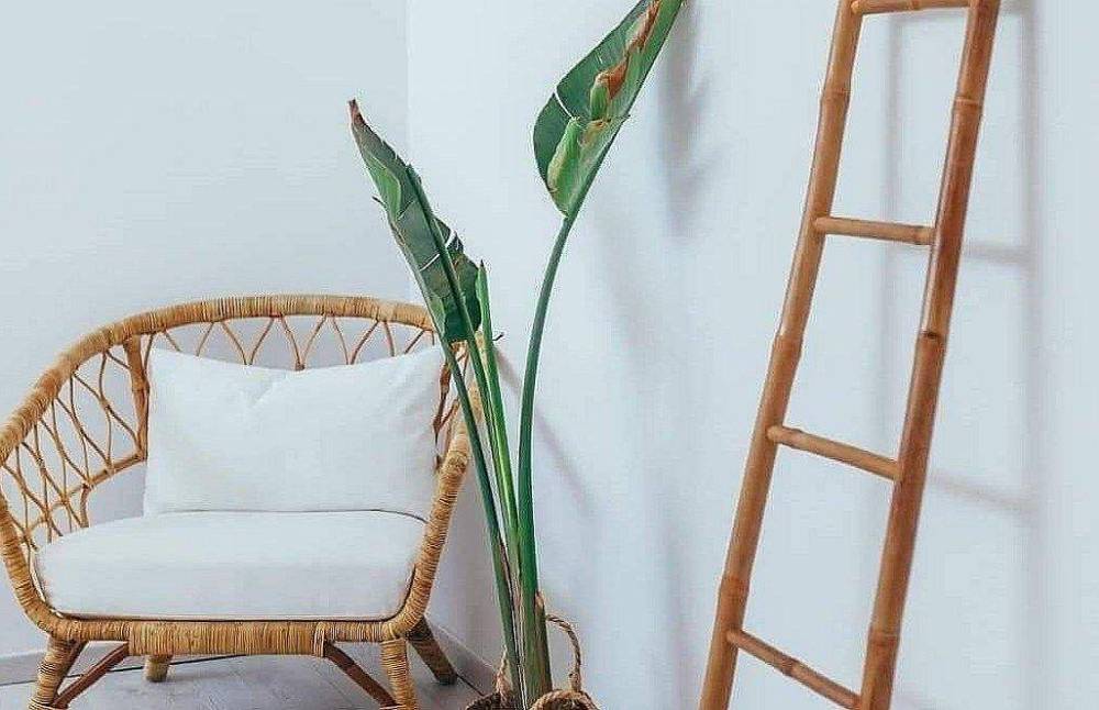 152481 הסוויטות, מלון אחוזת אנילביץ, וילה  בבאר שבע וילות - Vila 4 U