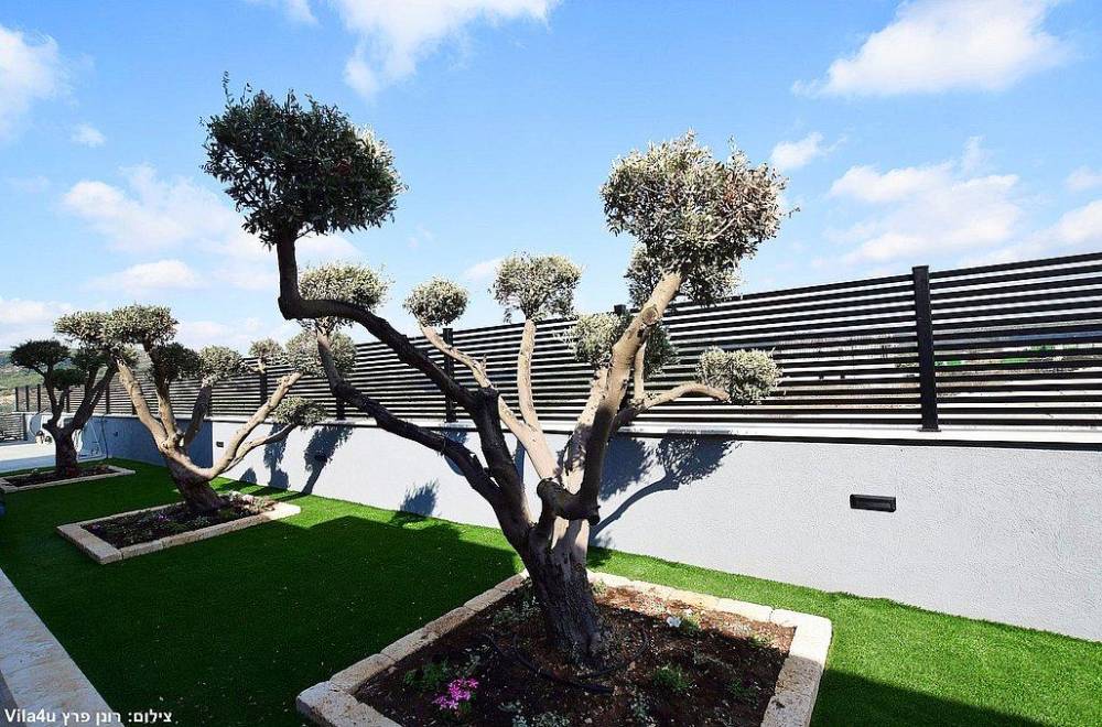 154708 המתחם החיצוני, וילה מול ההר, וילה  בשומרה וילות - Vila 4 U