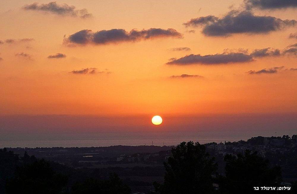 156347 אחוזת יערה, אחוזת יערה, וילה  ביערה וילות - Vila 4 U