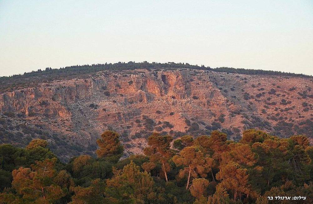 156375 אחוזת יערה, אחוזת יערה, וילה  ביערה וילות - Vila 4 U