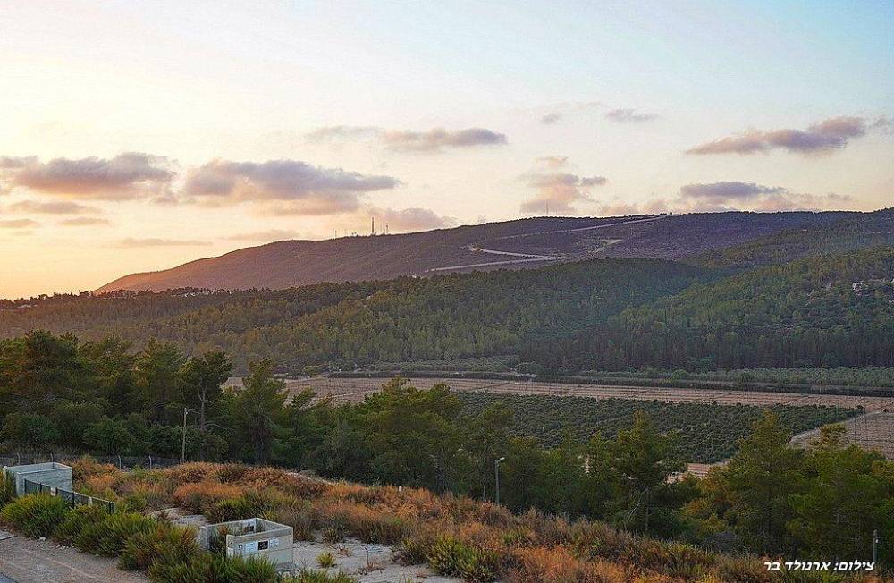 156462 גלרית חוץ, אחוזת יערה, וילה  ביערה וילות - Vila 4 U